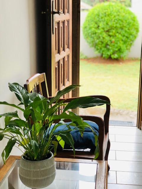 Danville Forest Guest House & Apartments Durban Esterno foto